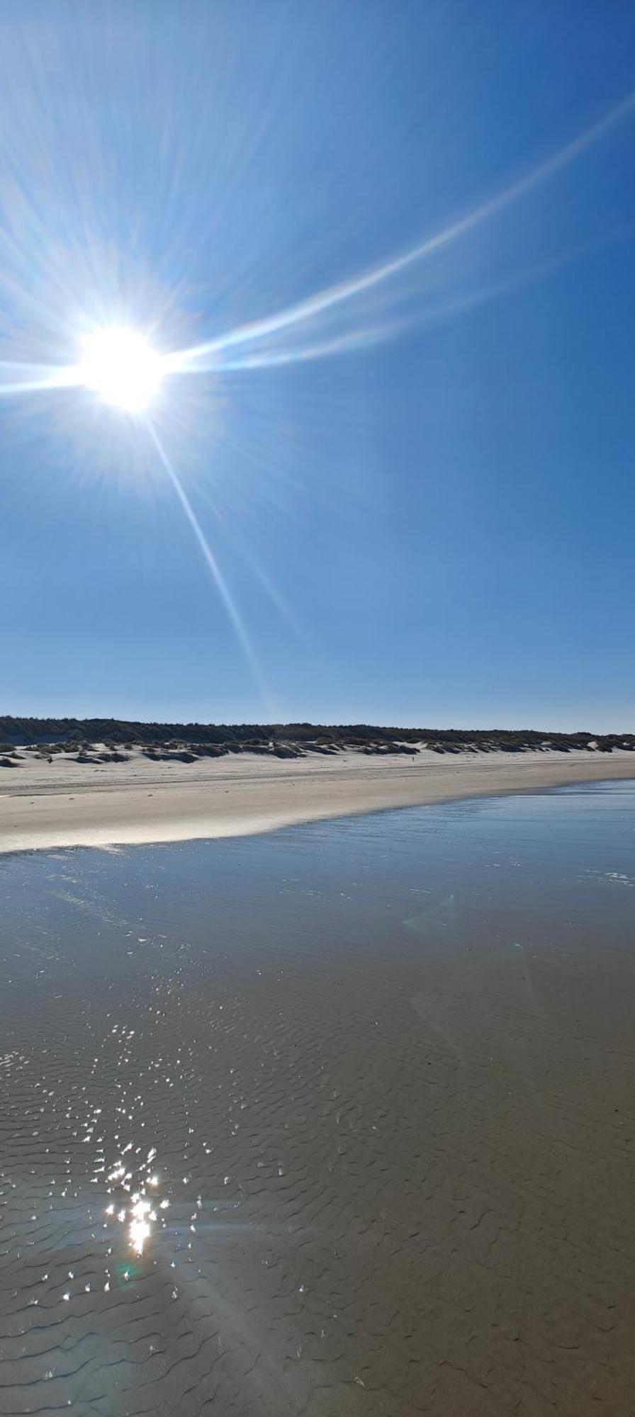 נס Pension Bakema Ameland מראה חיצוני תמונה